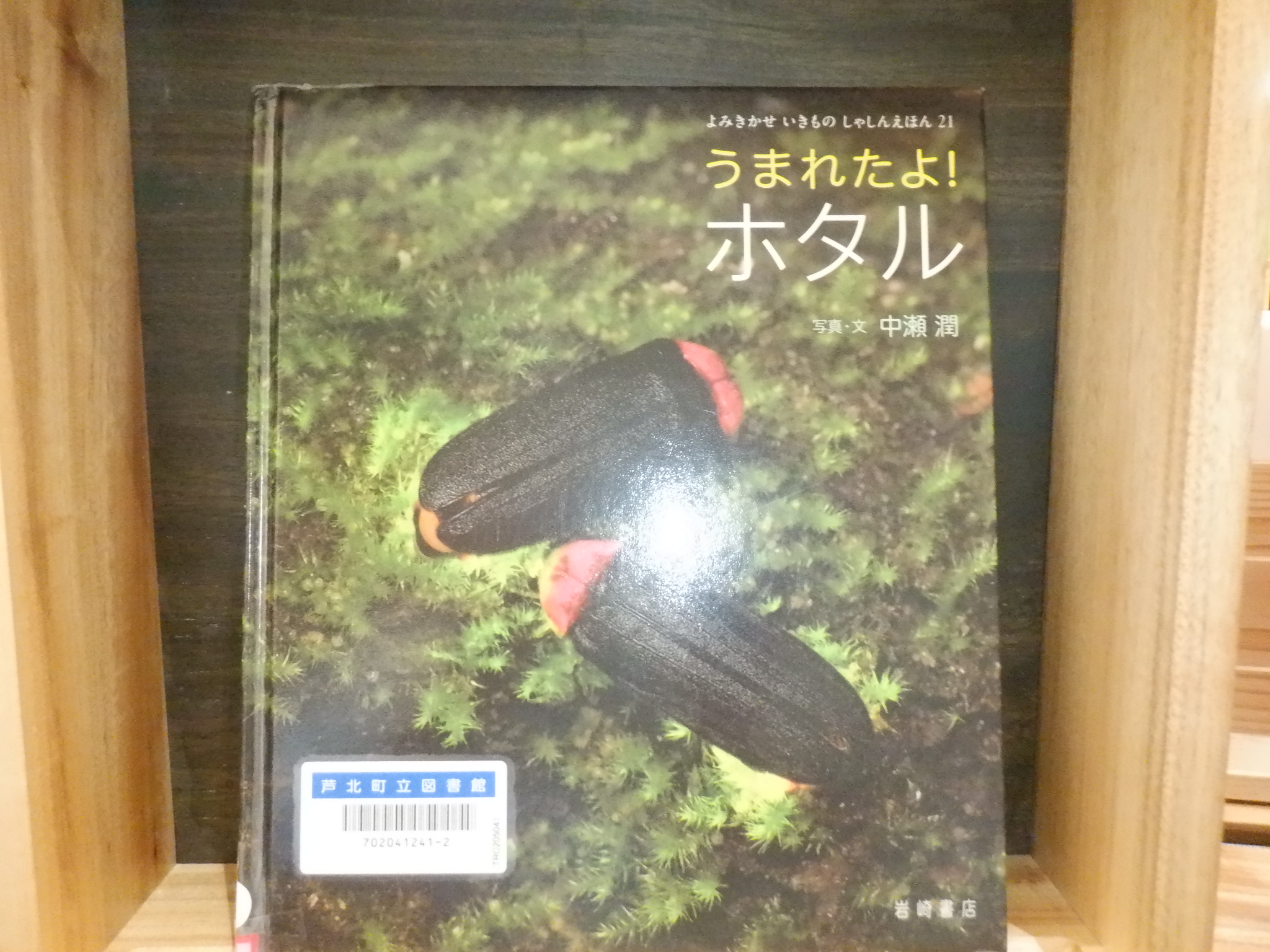 展示】雨の季節に💧 | お知らせ | 芦北町立図書館